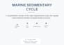 design professional scientific and business presentations